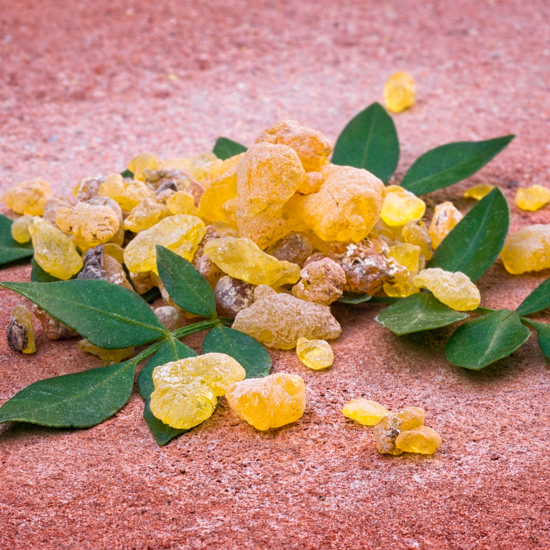 Radiant Wellness Newsletter - Frankincense Essential Oil