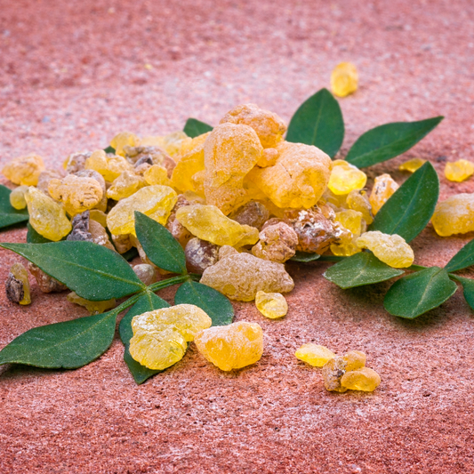 Radiant Wellness Newsletter - Frankincense Essential Oil