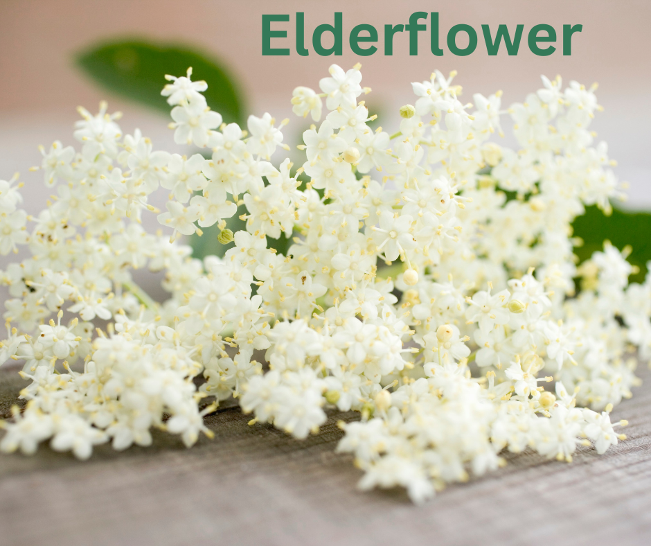 Dried Elderflowers