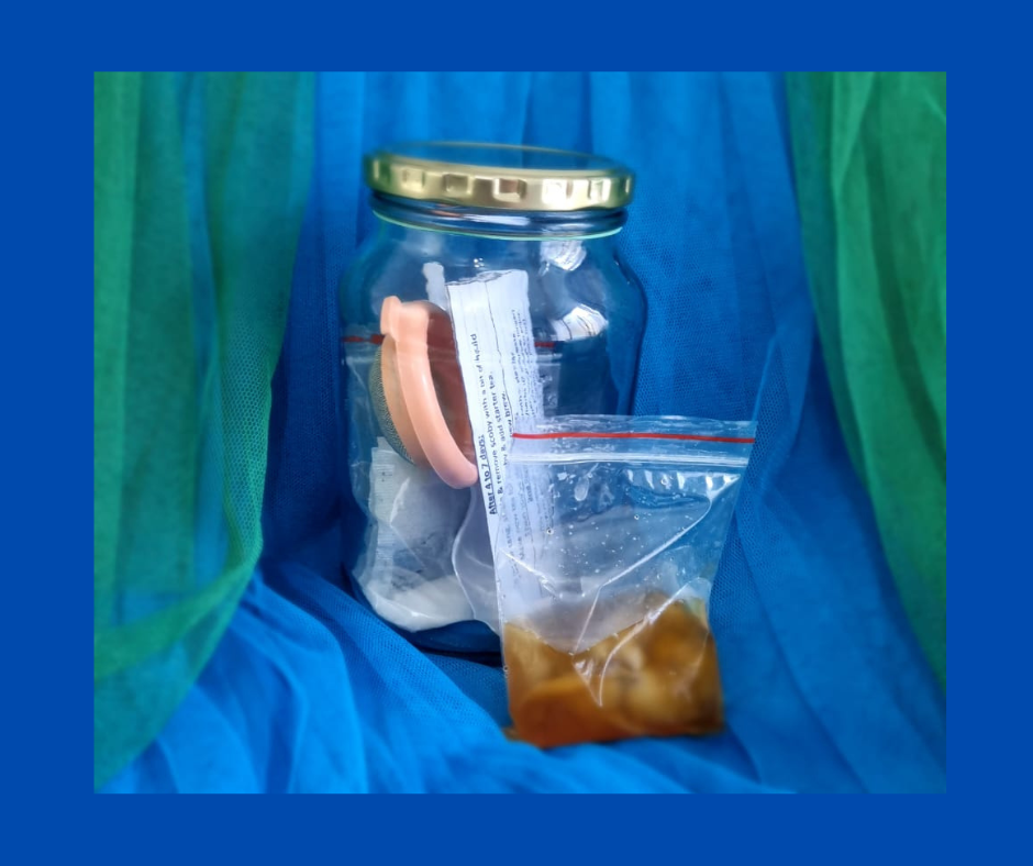 Kombucha DIY Kit