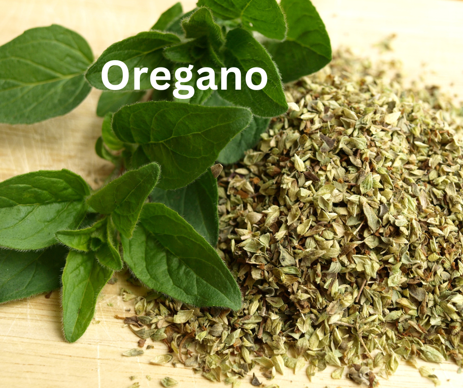 Oregano Dried Herb