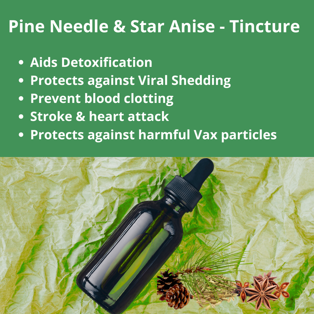 Pine Needle & Star Anise Tincture