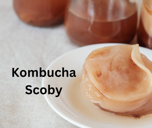 The Secret to a Happy Gut: Meet Your New Bestie—The SCOBY!