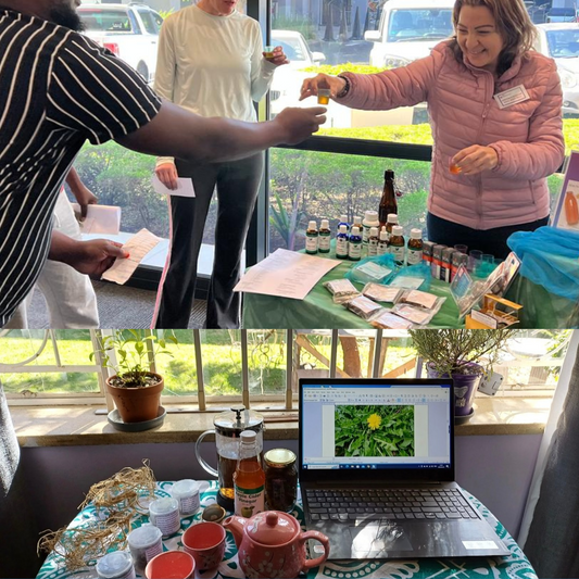 Talk, Demo & Taster