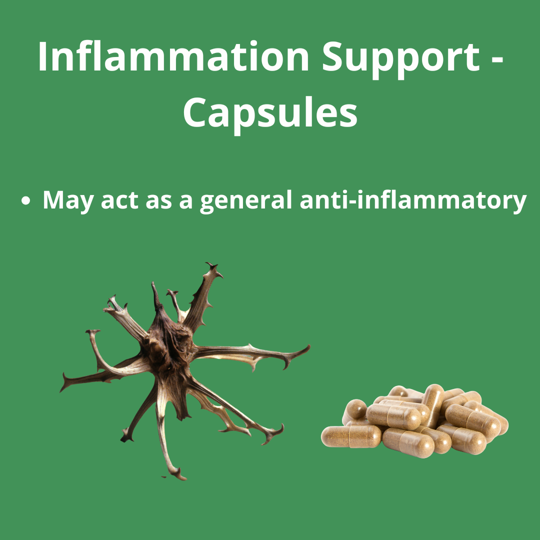 Inflammation Support