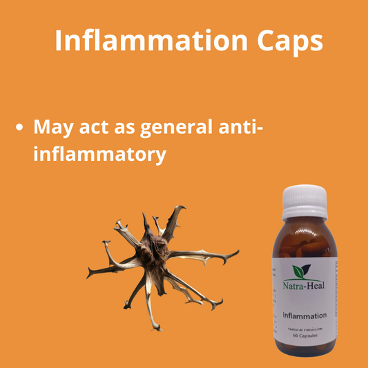 Inflammation Support