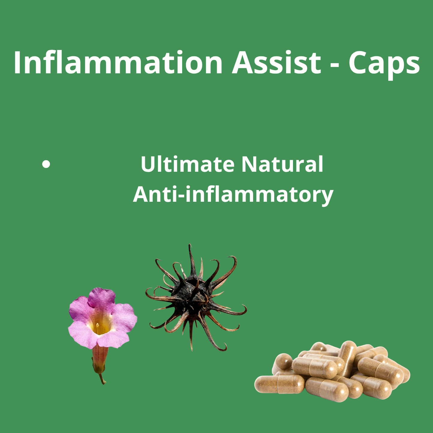 Inflammation Support