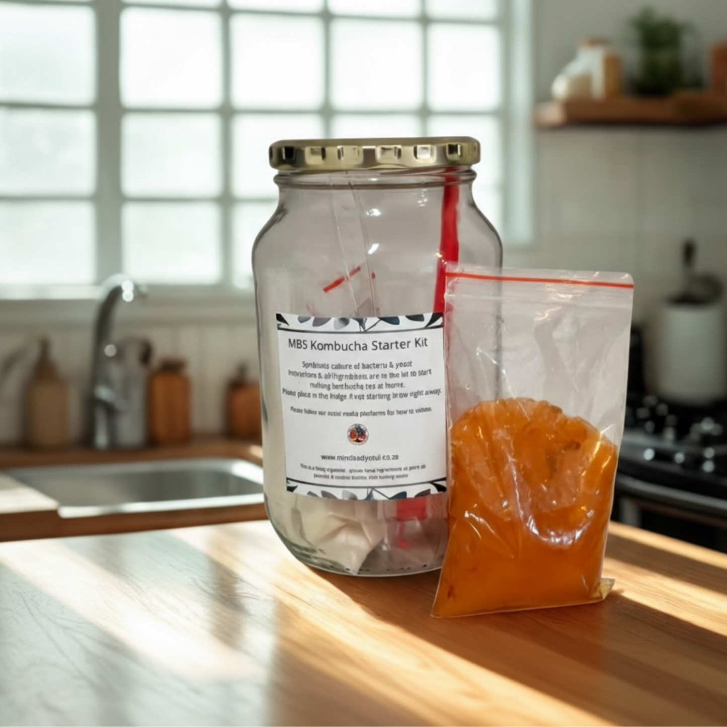 Kombucha starter Kit