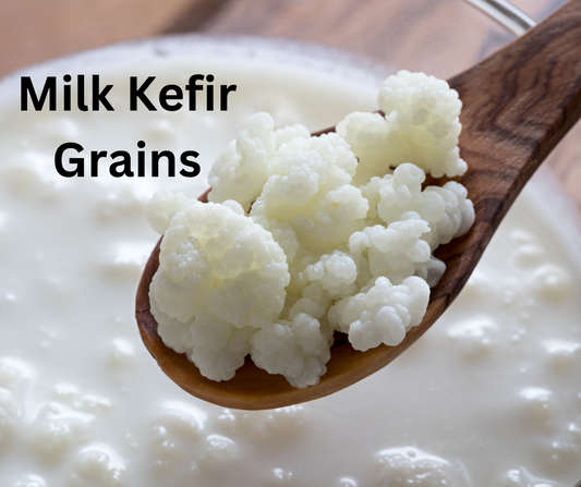 Milk Kefir Grains