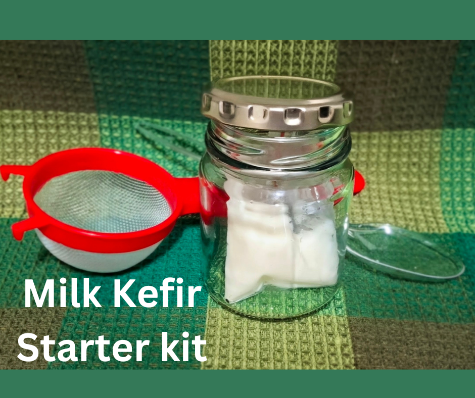 Milk Kefir Starter Kit