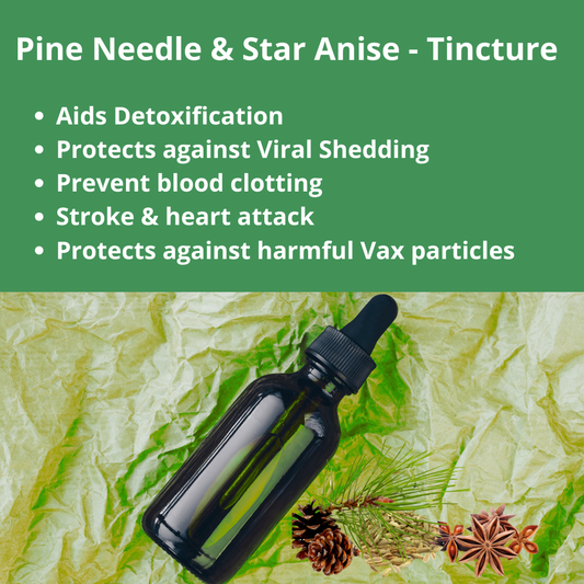 Pine Needle & Star Anise Tincture