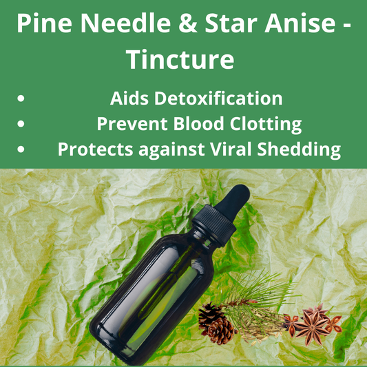 Pine Needle & Star Anise Tincture
