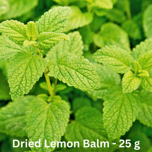 Lemon Balm Dried Herb