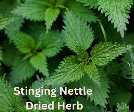 Stinging Nettle Dried Herb