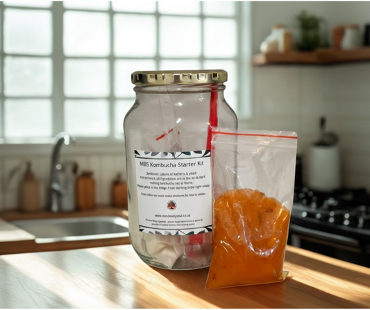 Kombucha starter Kit